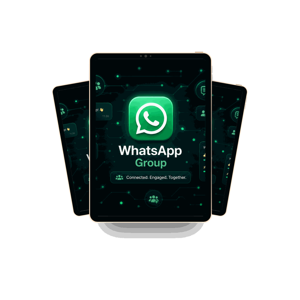 ליווי WhatsApp